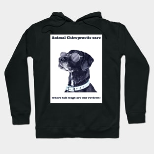 Animal Chiropractic care, where tail wags are our reviews! Hoodie